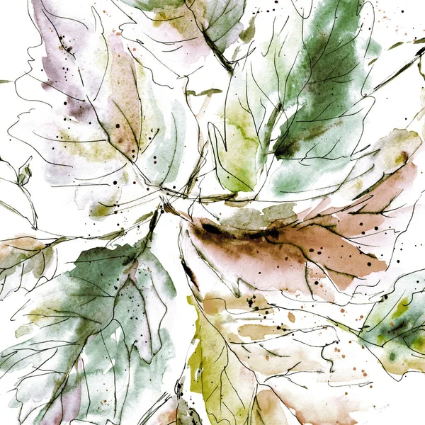 Belle Illustration Florale Avec Des Feuilles Aquarelle Pour Fond Carte — Photo