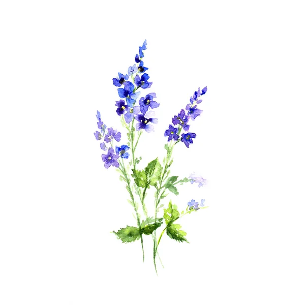Belles Fleurs Bleu Aquarelle Pour Carte Postale Invitation Mariage Illustration — Photo