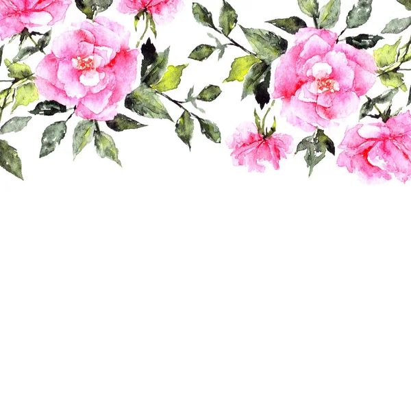 Fleurs Roses Aquarelle Pour Carte Voeux Illustration Florale Pour Décor — Photo