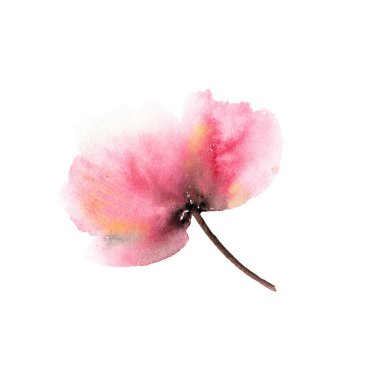 Kırmızı çiçek. Tek elle çizilmiş çiçek. Tebrik kartı tasarımı için suluboya haşhaş. Düğün davetiyesi çiçek dekoru. Doğum günü kartı tasarımı için soyut çiçek çiziyorum. Boyalı sakura tomurcuğu.