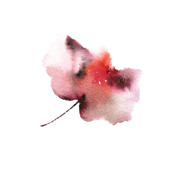 Czerwony Kwiat Jeden Narysowany Kwiat Akwarela Makowa Projektowania Kart Okolicznościowych — Zdjęcie stockowe