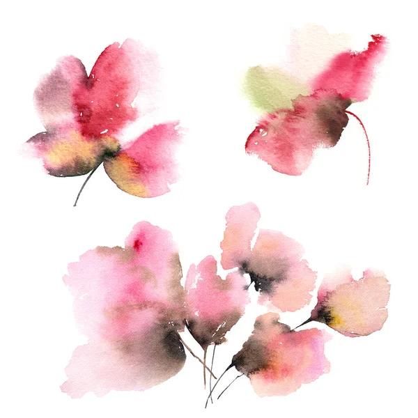 Ζωγραφίζω Παπαρούνες Floral Σετ Για Διακόσμηση Ευχετήριων Καρτών Κόκκινες Παπαρούνες — Φωτογραφία Αρχείου
