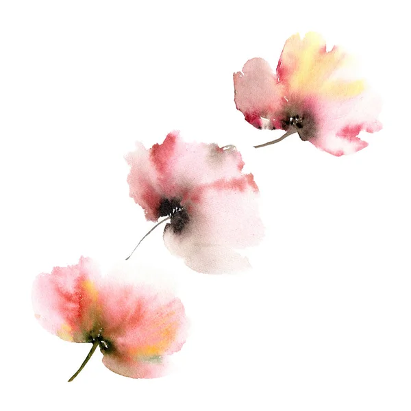 Ritning Blommig Uppsättning För Gratulationskort Dekor Röda Vallmo Rosa Blommor — Stockfoto