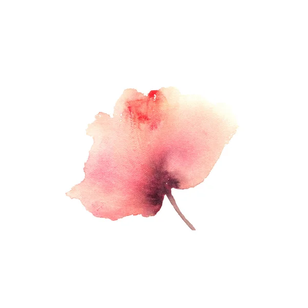 Rote Blume Einzelne Handgezeichnete Blume Aquarell Mohn Für Grußkarten Design lizenzfreie Stockbilder