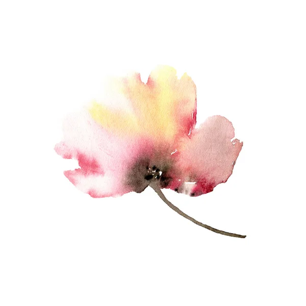 Flor Papoula Rosa Flor Única Flor Aquarela Para Design Cartão Imagens De Bancos De Imagens