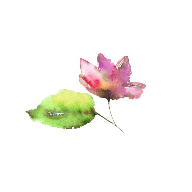 Pembe haşhaş. Tek çizim çiçeği. Tebrik kartı tasarımı için suluboya çiçek. Düğün davetiyesi çiçek dekoru. Doğum günü kartı tasarımı için soyut çiçek çiziyorum. Boyalı sakura tomurcuğu.