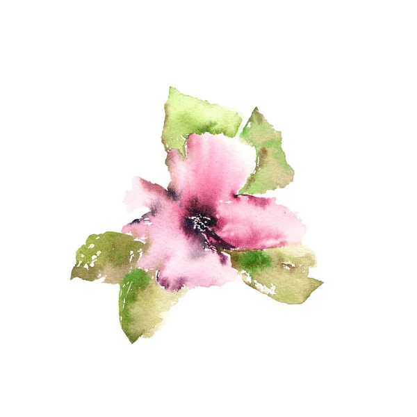 Papoula Rosa Flor Desenho Único Flor Aquarela Para Design Cartão — Fotografia de Stock