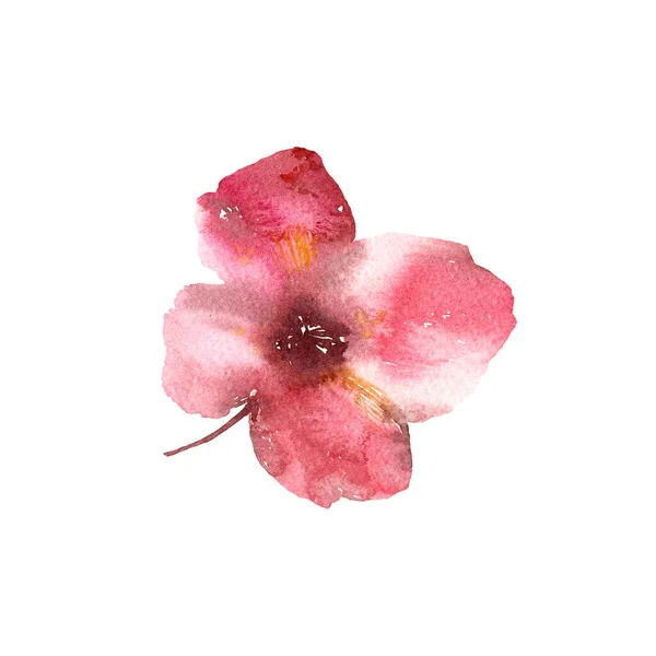 Röd Vallmoblomma Enda Ritblomma Akvarell Blomma För Gratulationskort Design Bröllopsinbjudan — Stockfoto