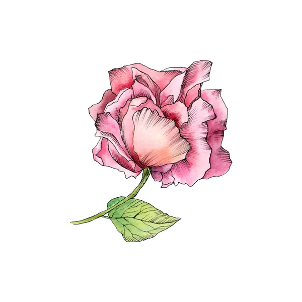 Dessin Unique Fleur Aquarelle Rose Rouge Fleurs Dessinées Main Pour — Photo