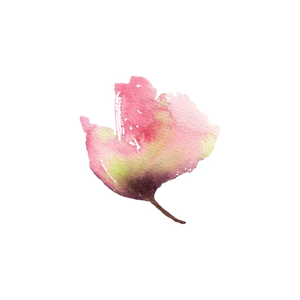 Papoula Rosa Flor Desenho Único Flor Aquarela Para Design Cartão — Fotografia de Stock