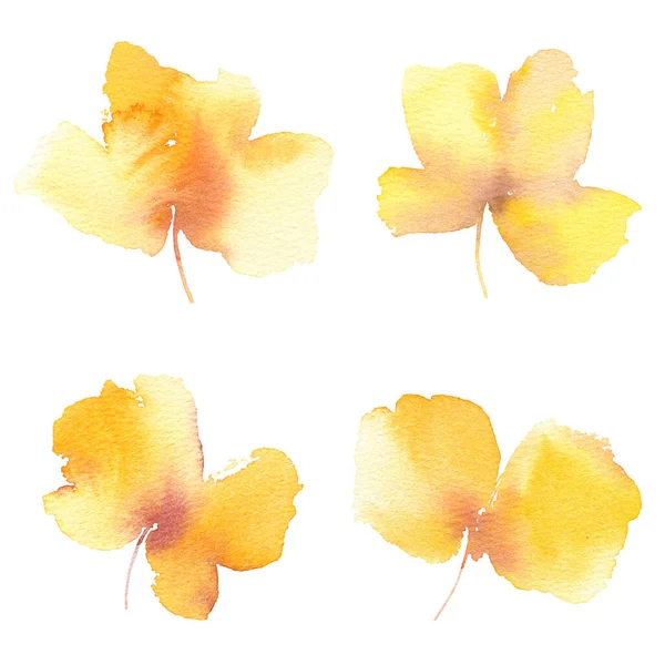 Blumenset Für Kartendekor Vorhanden Aquarell Gelbe Blüten Blumenschmuck Hochzeitseinladung Blumenschmuck — Stockfoto
