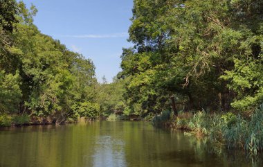 Ropotamo Nehri, Bulgaristan. Güneşli yaz günü.
