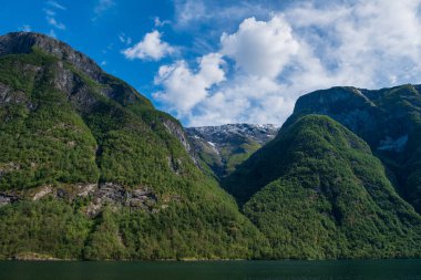 Aurlandsfjord, Norveç 'in en uzun fiyortu olan Sognefjord' un dar, yemyeşil bir dalıdır. Temmuz 2019