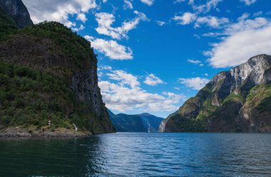 Aurlandsfjord, Norveç 'in en uzun fiyortu olan Sognefjord' un dar, yemyeşil bir dalıdır. Temmuz 2019