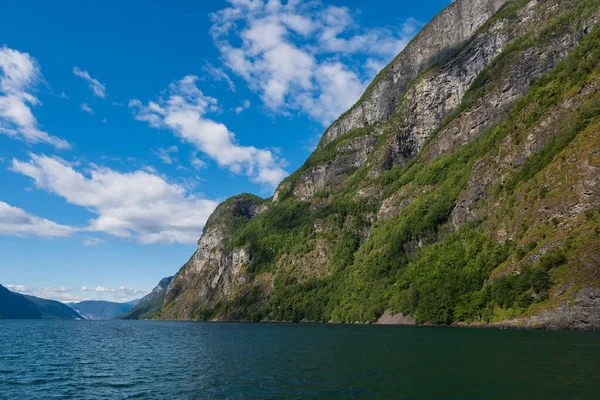 Het Aurlandsfjord - een smalle, weelderige tak van het langste fjord van Noorwegen, het Sognefjord. juli 2019 — Stockfoto