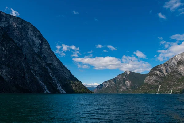 El fiordo de Aurlandsfjord, una rama estrecha y exuberante del fiordo más largo de Noruega, el fiordo de Sognefjord. Julio 2019 —  Fotos de Stock