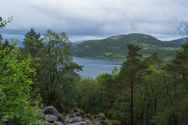 Revsvatnet湖早上在挪威的Preikestolen小径上 2019年7月 — 图库照片
