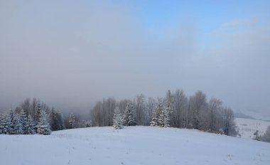 Karpaty dağları kış sabahı aydınlığında. Pylypets, Ukrayna