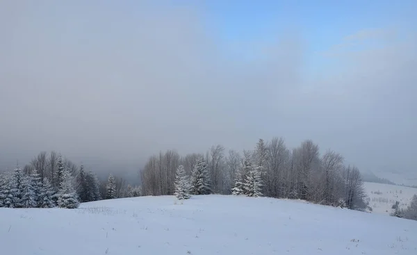 Montanhas nevadas Karpaty na luz da manhã de inverno. Pylypets, Ucrânia — Fotografia de Stock