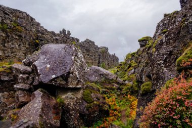 Thingvellir National Park - famous area in Iceland right on the spot where the atlantic tectonic plates meets. UNESCO World Heritage Site. September 2019 clipart