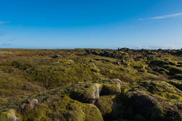 Lavafält med mossklädda lavastenar på Island. September 2019 — Stockfoto