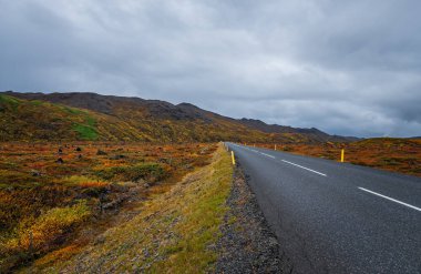 İzlanda 'da volkanik bölge. Yer: Hver jeotermal alanı, Myvatn bölgesi, İzlanda 'nın kuzeyi, Avrupa. Eylül 2019
