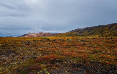 İzlanda 'da volkanik bölge. Yer: Hver jeotermal alanı, Myvatn bölgesi, İzlanda 'nın kuzeyi, Avrupa. Eylül 2019