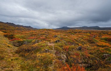 İzlanda 'da volkanik bölge. Yer: Hver jeotermal alanı, Myvatn bölgesi, İzlanda 'nın kuzeyi, Avrupa. Eylül 2019