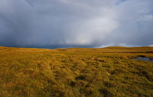 Gräsplan i Stadur på Island. Molndag i september 2019 — Stockfoto