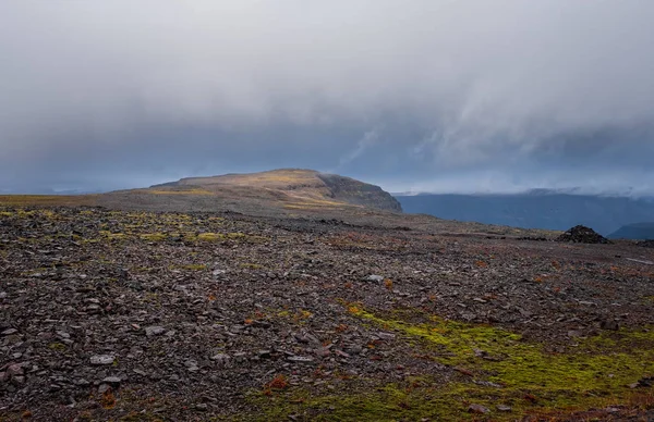 Lávové pole s mechem a kameny ve Staduru na Islandu. Oblačno v září 2019 — Stock fotografie