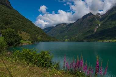 Norveç, Stryn 'deki güzel Oldevatnent Gölü. Temmuz 2019