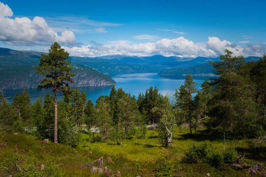 View on Breimsvatn lake, Jolster, Norway. July 2019