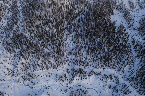 Flyg ovanifrån på en vinterpark med träd och gångväg täckt med snö. Dolomiterna Alperna i nationalparken Tre Cime di Lavaredo i januari 2020 i Italien. — Stockfoto