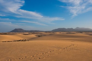 Corralejo yakınlarındaki kum tepeciklerinde dalgalanmalar, arkada volkan dağları, Fuerteventura, Kanarya Adaları, İspanya. Ekim 2019