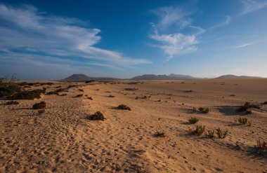 Corralejo yakınlarındaki kum tepeciklerinde dalgalanmalar, arkada volkan dağları, Fuerteventura, Kanarya Adaları, İspanya. Ekim 2019