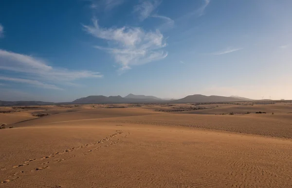 Corralejo yakınlarındaki kum tepeciklerinde dalgalanmalar, arkada volkan dağları, Fuerteventura, Kanarya Adaları, İspanya. Ekim 2019 — Stok fotoğraf