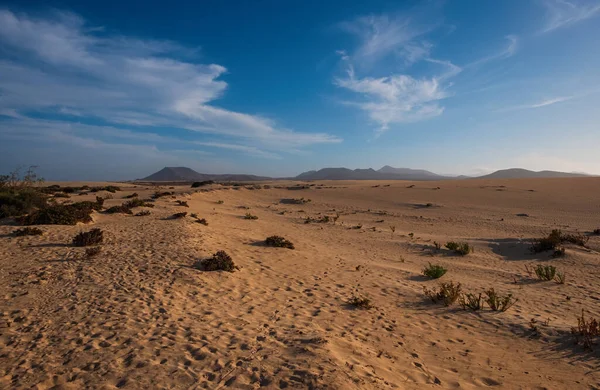 Ondulações em dunas de areia perto de Corralejo com montanhas vulcânicas ao fundo, Fuerteventura, Ilhas Canárias, Espanha. Outubro de 2019 — Fotografia de Stock