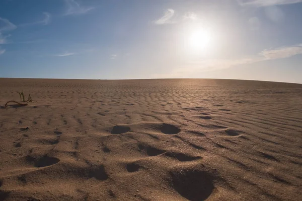 Ondulations sur une dune de sable près de Corralejo avec des montagnes volcaniques en arrière-plan, Fuerteventura, Îles Canaries, Espagne. octobre 2019 — Photo