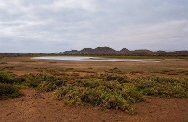 Lobos Adası, İspanya - Ekim 2019. Lobos Adası, Fuerteventura, Corralejo açıklarındaki ıssız bir volkanik adadır.