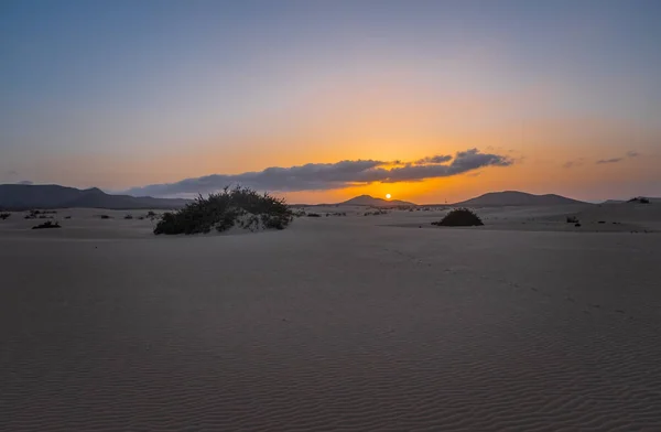 Solnedgång Vid Dunes Jable National Park Corralejo Fuerteventura Oktober 2019 — Stockfoto