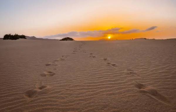 Solnedgång Vid Dunes Jable National Park Corralejo Fuerteventura Oktober 2019 — Stockfoto