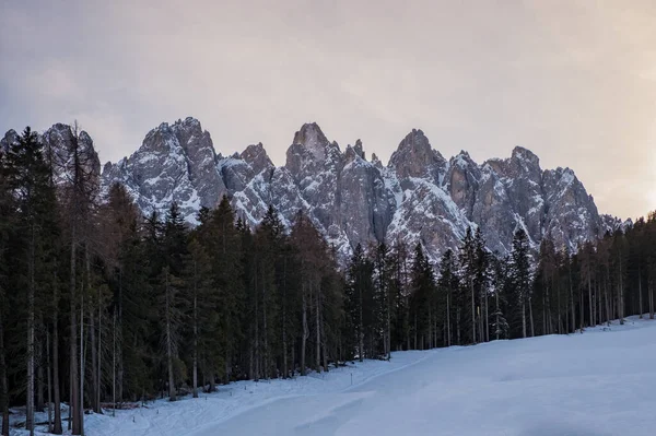 Skipiste Dolomieten Italië Haunold Monte Baranci Januari 2020 — Stockfoto