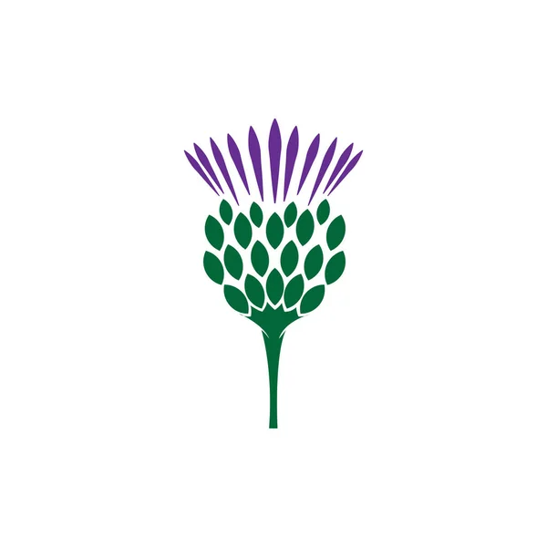 Schottische Distelblume Logo Illustration — Stockvektor