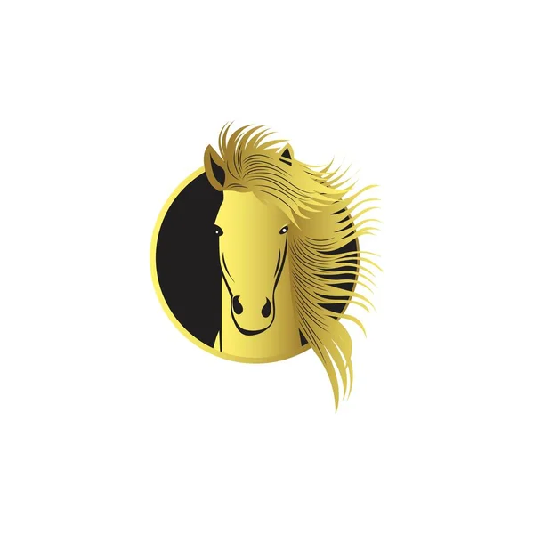 Gouden Paard Hoofd Logo Illustratie — Stockvector