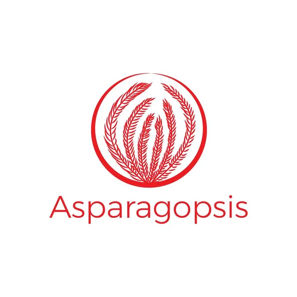 Gambar Logo Vektor Asparagopsis Merah - Stok Vektor