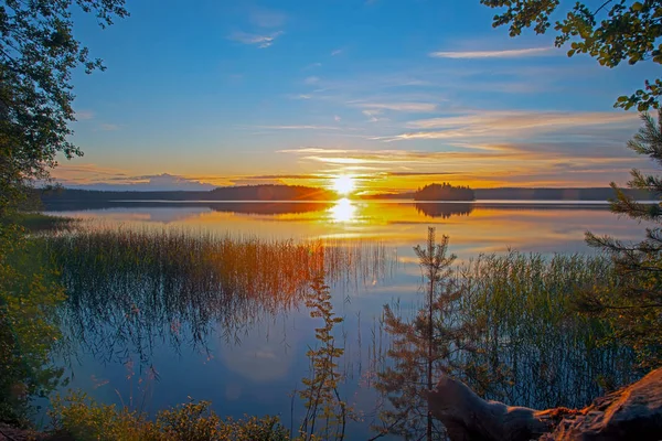 Orman gölünün kıyısında gün batımı