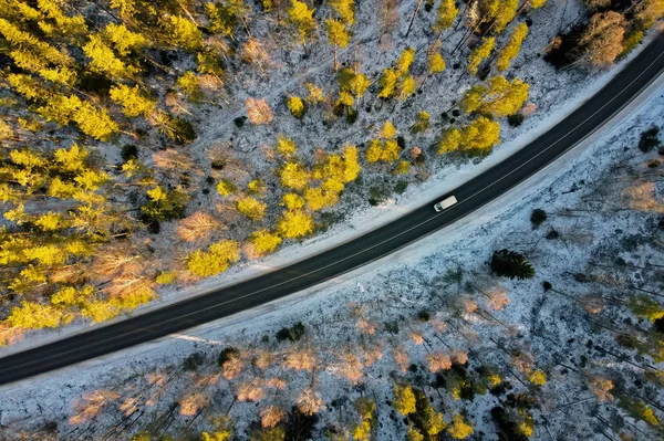 Estrada na floresta de inverno Dia ensolarado — Fotografia de Stock