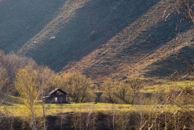 Altai Dağları 'nın arka planında tek başına yıkılan ahşap bir ev.