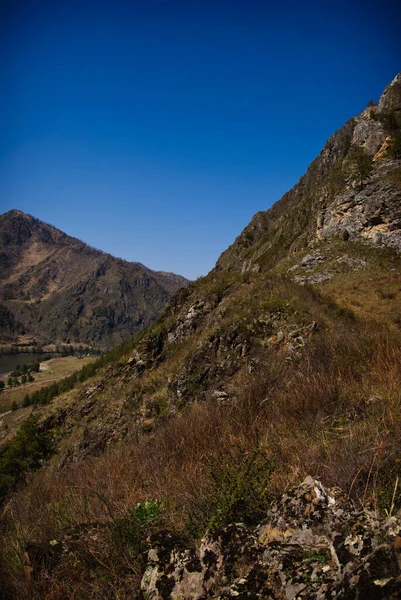 Vista panorámica del valle y el río Katun. Parte 9 — Foto de Stock