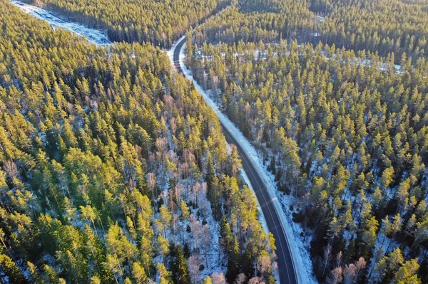 Road in winter forest lit by the sun